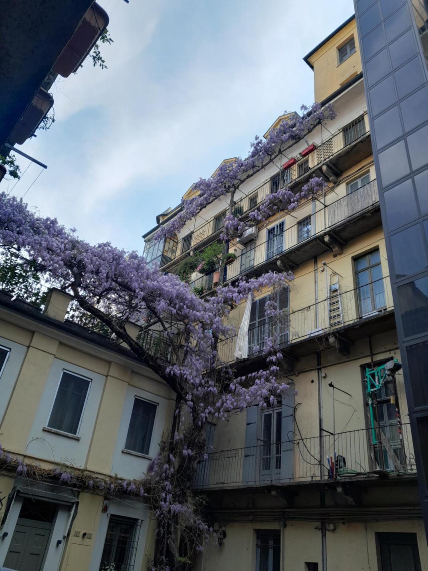 Alloggio Torino Inquadro Екстериор снимка